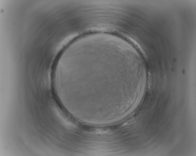 X0000082720678200702232322