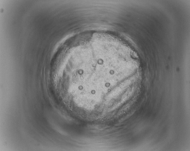 X0000082720679200702232322