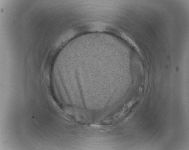 X0000082720681200702232322