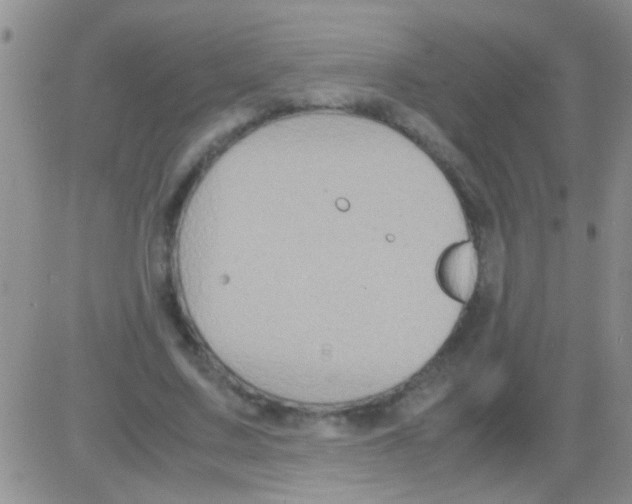 X0000082720683200702232322