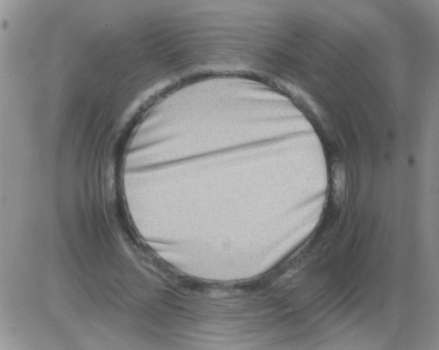 X0000082720684200702232322