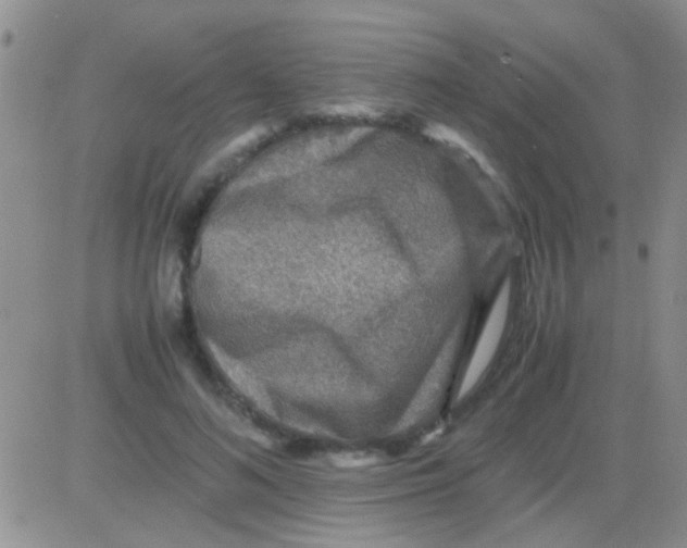 X0000082720692200702232322