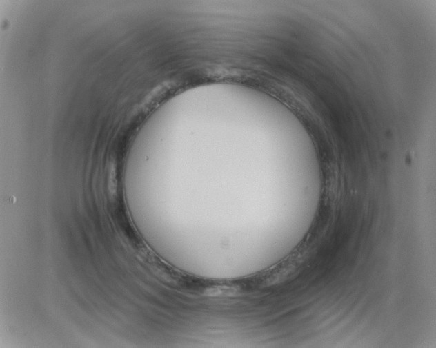 X0000082720700200702232322