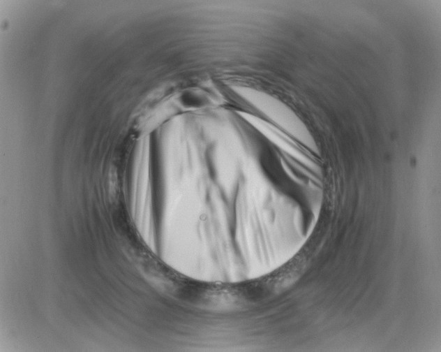 X0000082720704200702232322