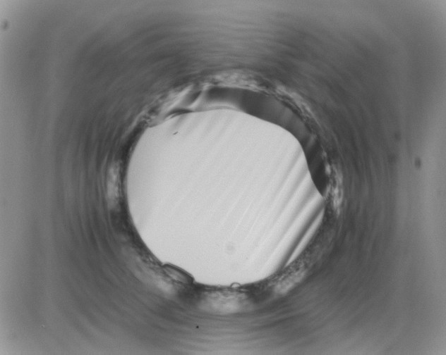 X0000082720708200702232322