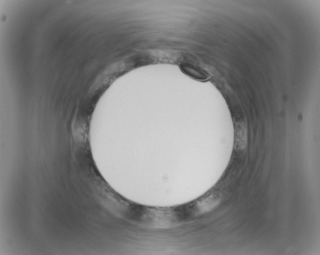 X0000082720713200702232322