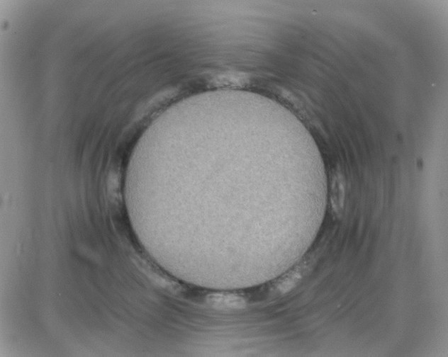 X0000082720714200702232322