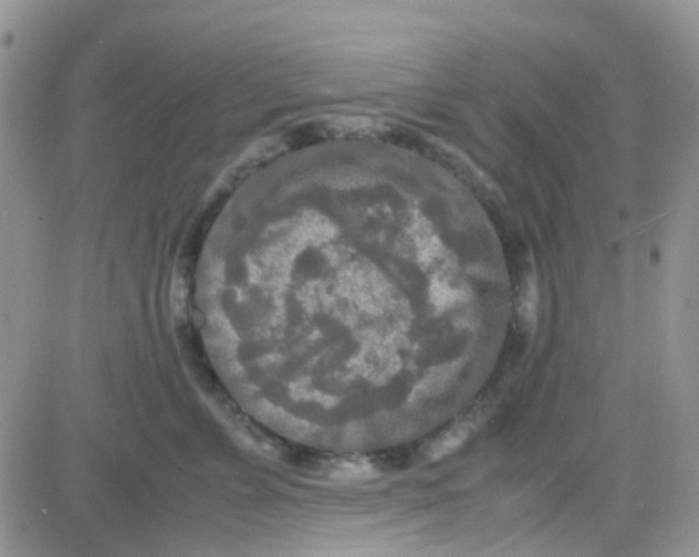 X0000082720715200702232321