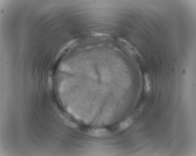 X0000082720716200702232321