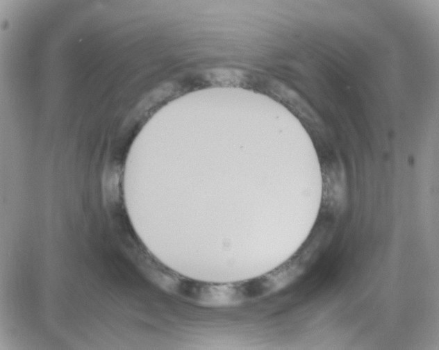 X0000082720717200702232321