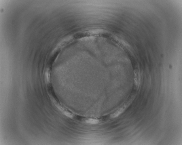 X0000082720718200702232321