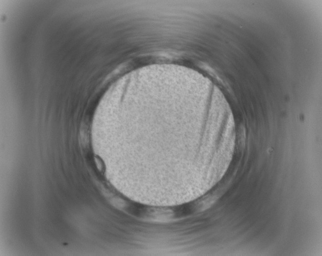 X0000082720719200702232321