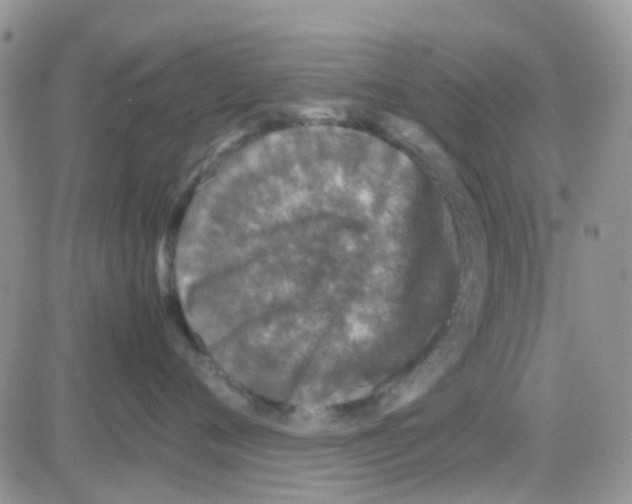 X0000082720720200702232321