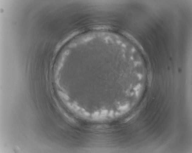 X0000082720721200702232321