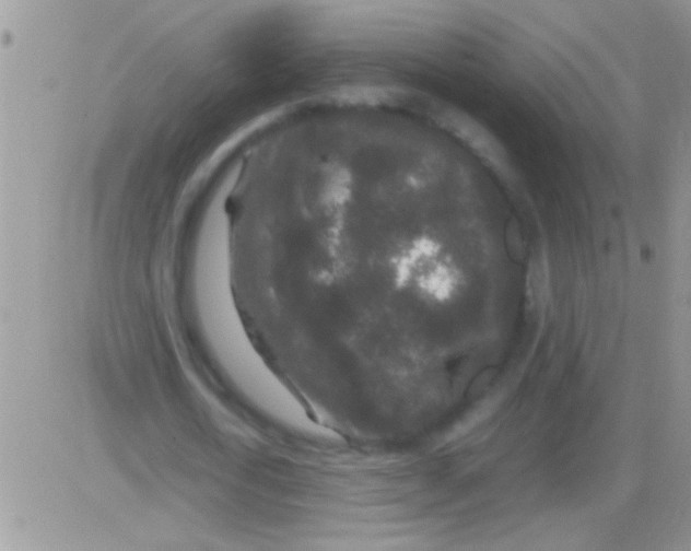 X0000082720722200702232321