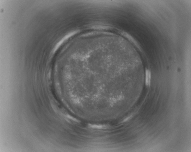 X0000082720723200702232321