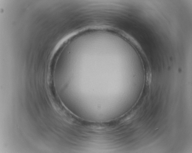 X0000082720724200702232321