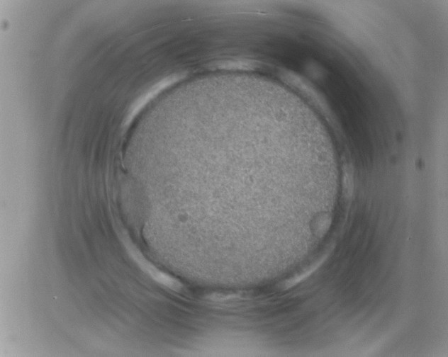 X0000082720725200702232321