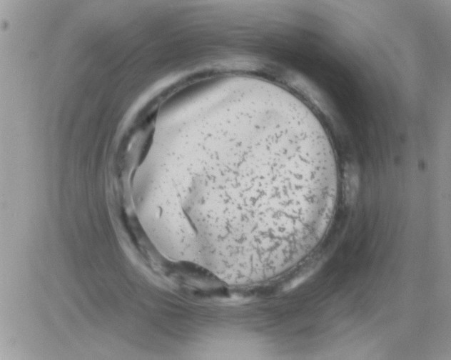 X0000082720726200702232321