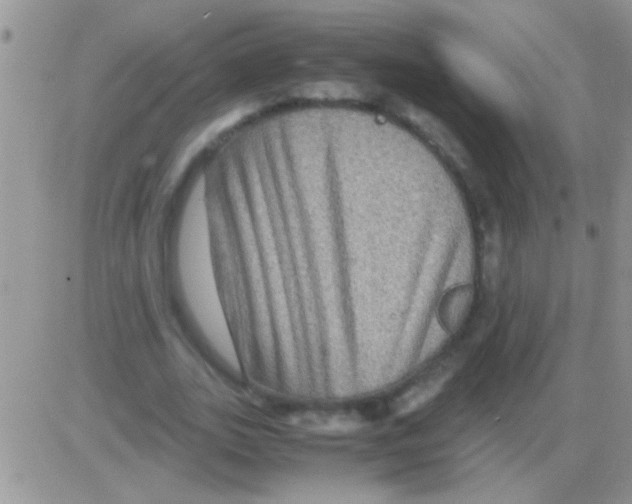 X0000082720727200702232321