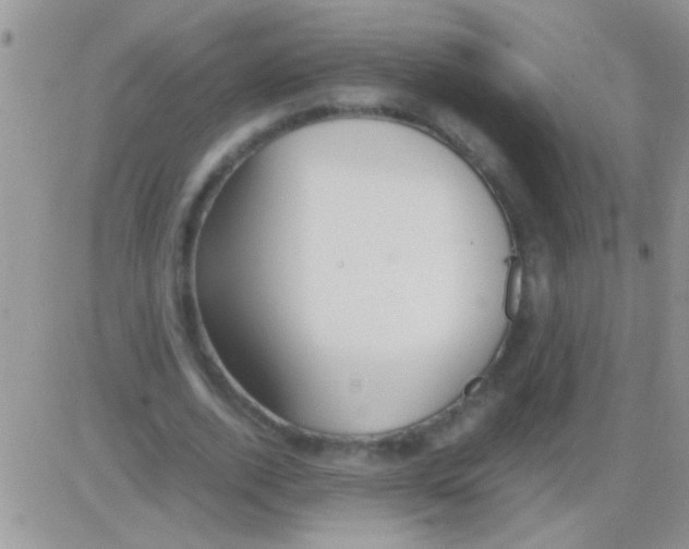 X0000082720728200702232321