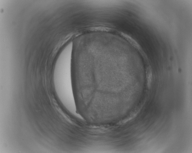 X0000082720729200702232321