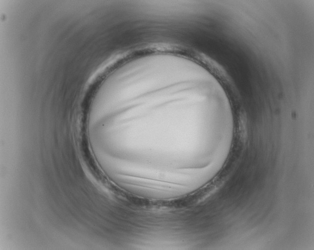 X0000082720730200702232321