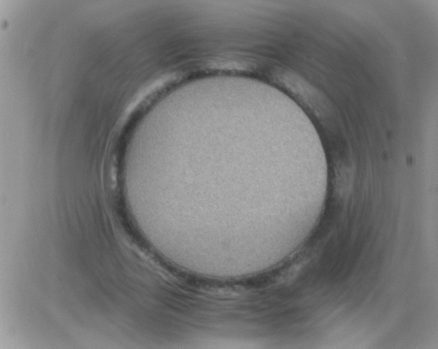 X0000082720731200702232321