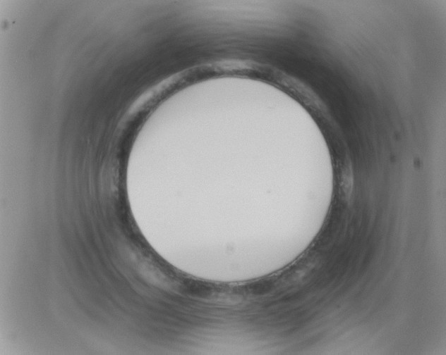 X0000082720732200702232321