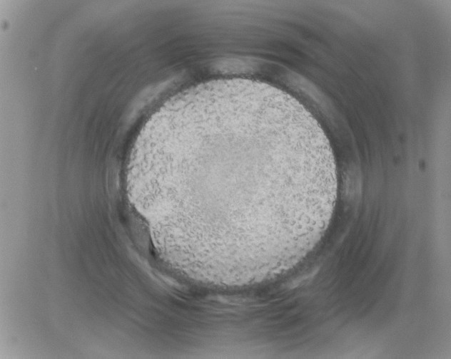 X0000082720733200702232321