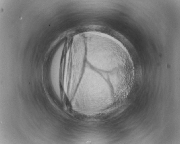 X0000082720734200702232321