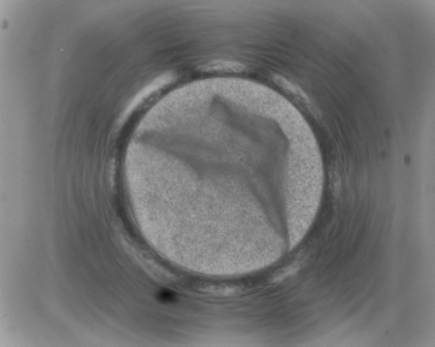 X0000082720735200702232321