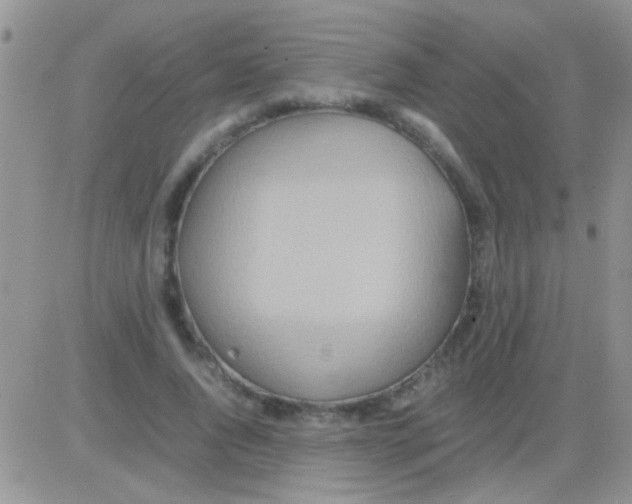 X0000082720736200702232321