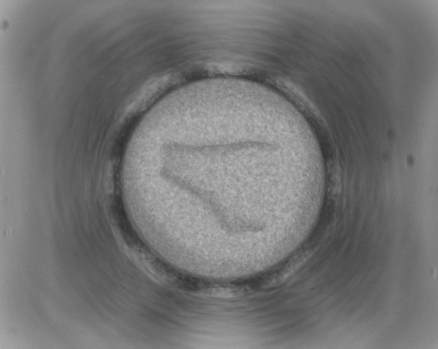 X0000082720738200702232321