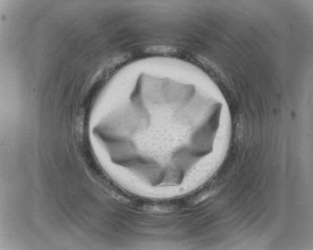 X0000082720739200702232321