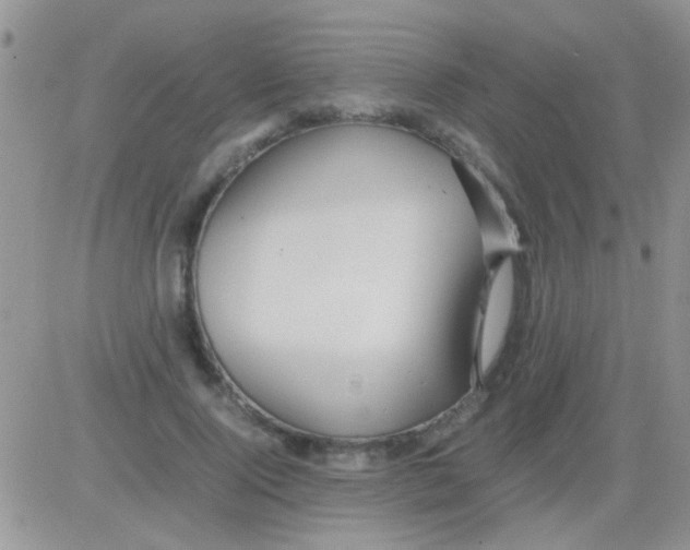 X0000082720740200702232321