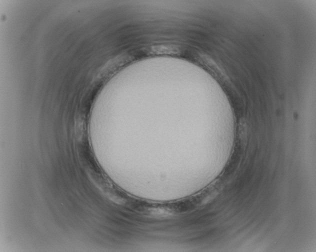 X0000082720741200702232321