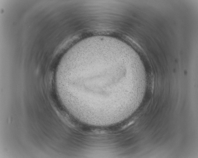 X0000082720742200702232321