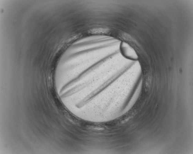 X0000082720743200702232321