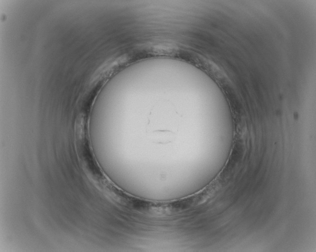 X0000082720744200702232321