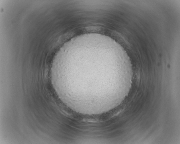 X0000082720745200702232321