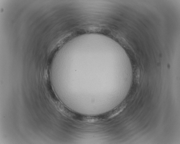 X0000082720746200702232321