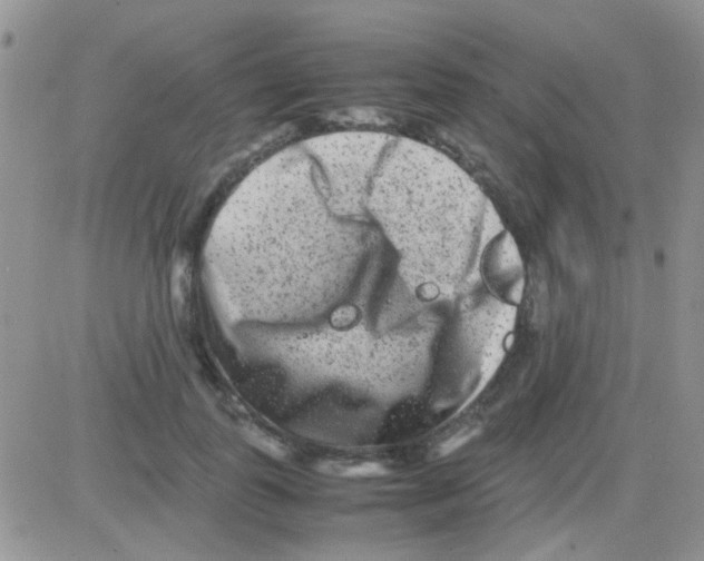 X0000082720747200702232321