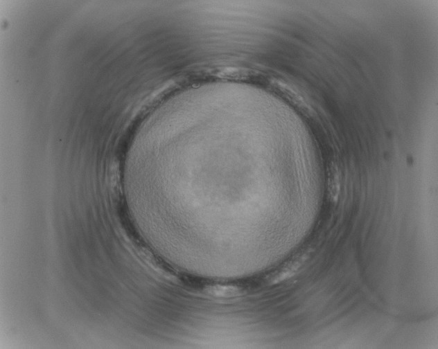 X0000082720748200702232321