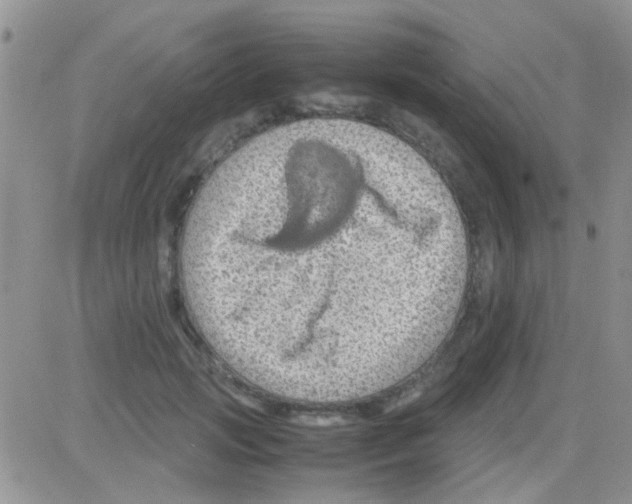 X0000082720749200702232321