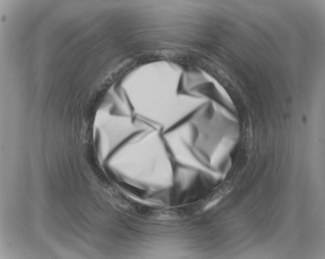 X0000082720750200702232321