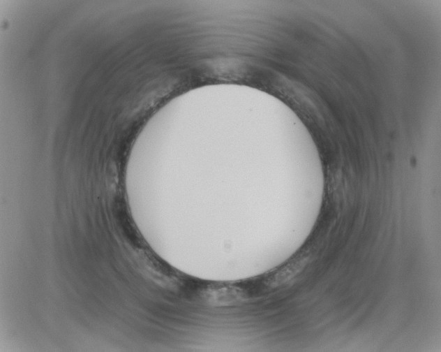 X0000082720752200702232321