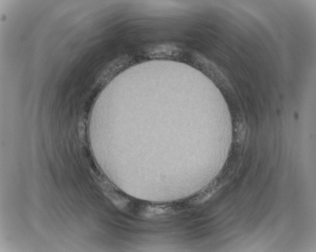 X0000082720753200702232321