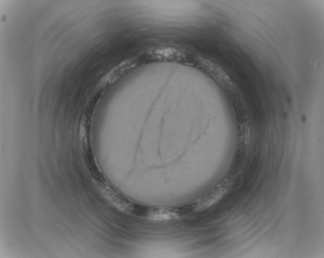 X0000082720754200702232321