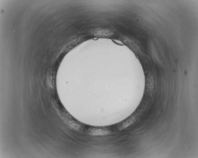 X0000082720755200702232321